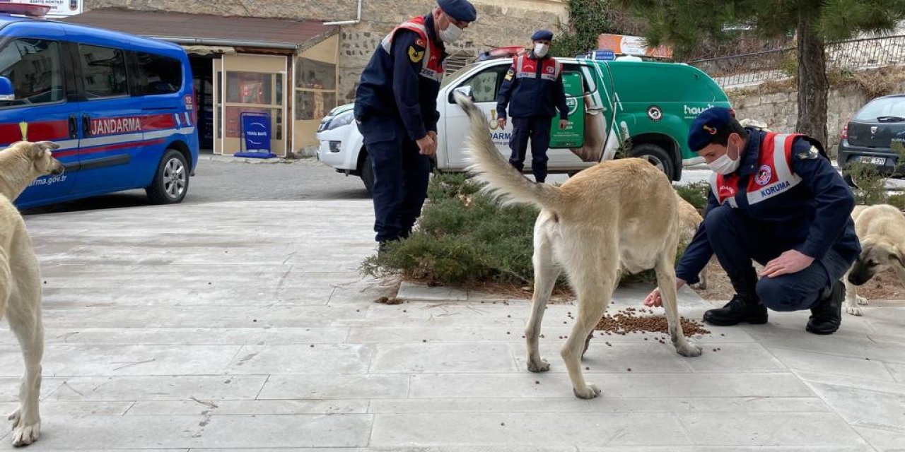 Nevşehir Jandarması'ndan Örnek Davranış