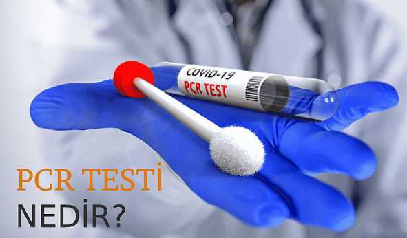 PCR Testi Fiyatı Nedir?