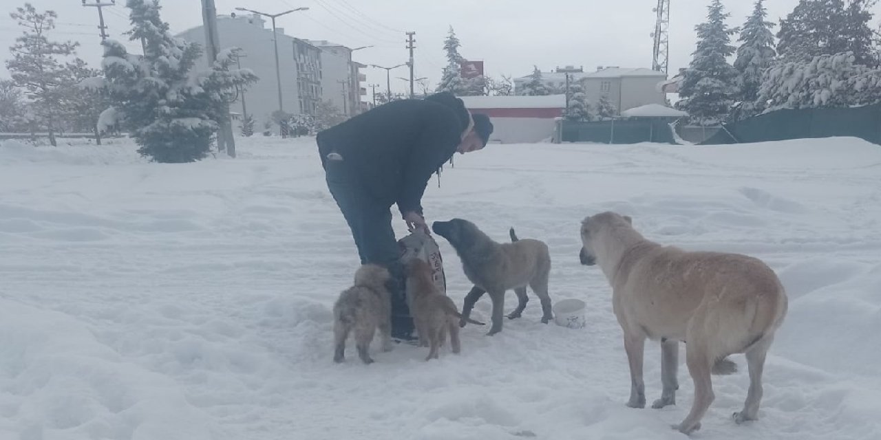 Var mı bundan güzel bir kare? Eskil'de yürekleri sımsıcak yapan fotoğraf!