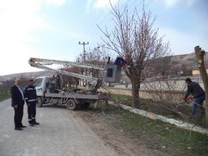 Cihanbeyli’de Bahar Hazırlıklarına Başladı