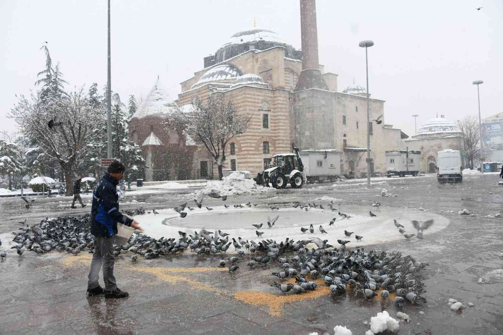 Konya Büyükşehir Belediyesi sahipsiz hayvanların yanında