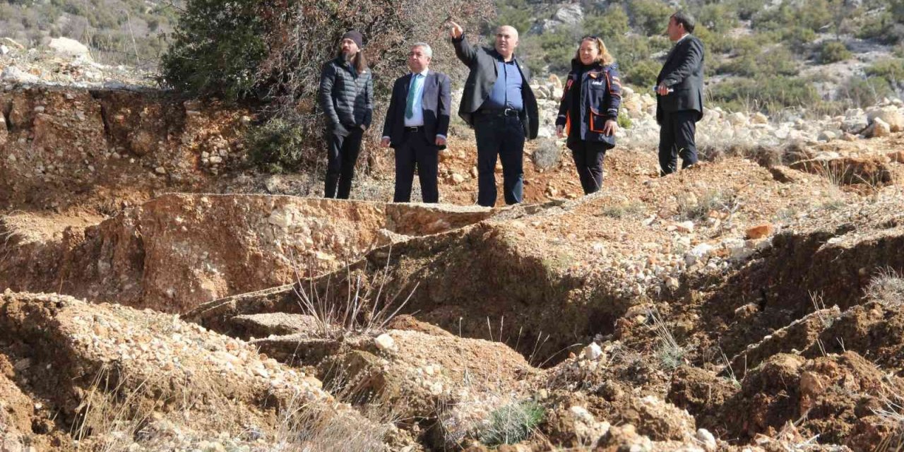 Heyelan zeytin ağaçlarını kökünden söktü