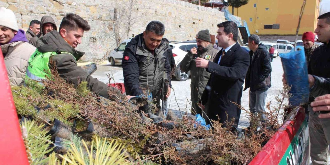 Sarıveliler ilçesinde vatandaşlara fidan dağıtıldı