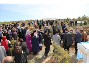 Fidanlar "Bereket Ormanları" İçin Dikildi