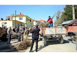 Büyükşehir Belediyesi’nden Tüm İlçelere Tarımsal Destek