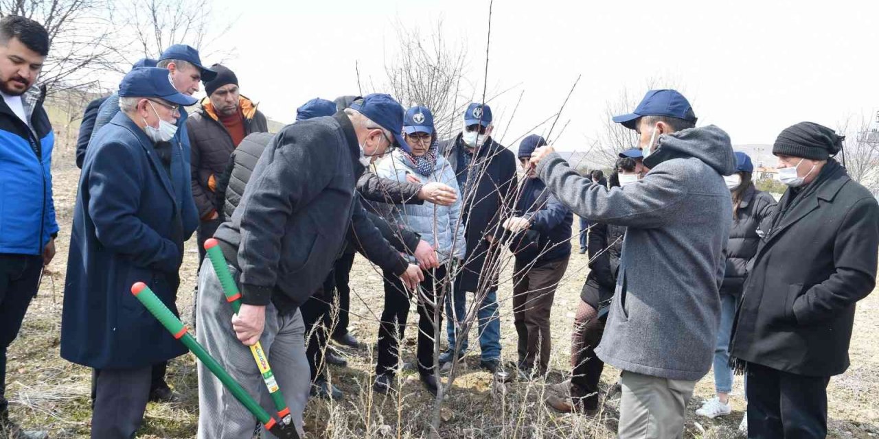 Ankara’da üreticilere “Vişne Üretim Teknikleri Eğitimi”