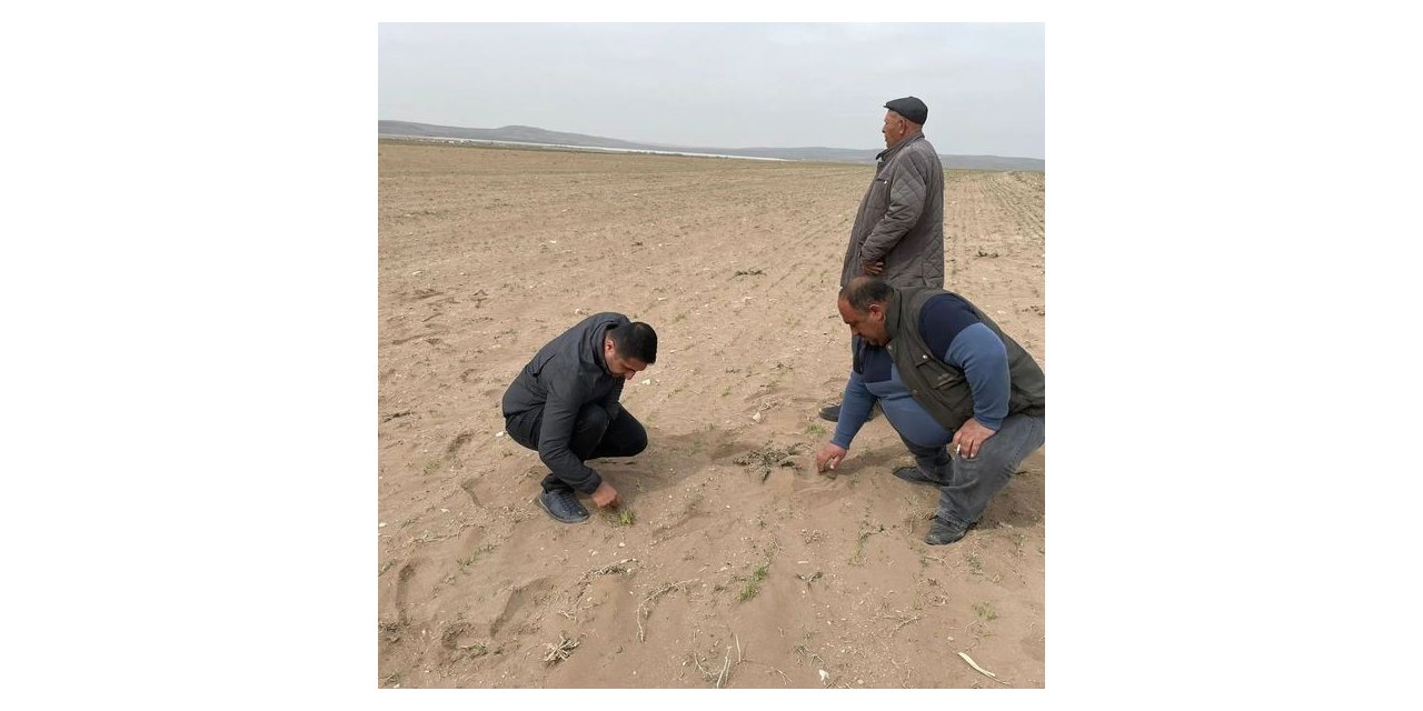 Kulu’da kum fırtınası ekili alanlara zarar verdi