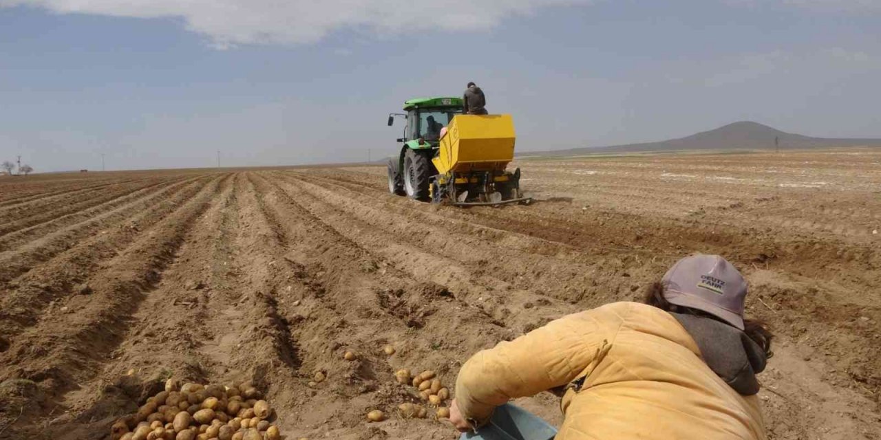 Yazlık Patates ekimi başladı