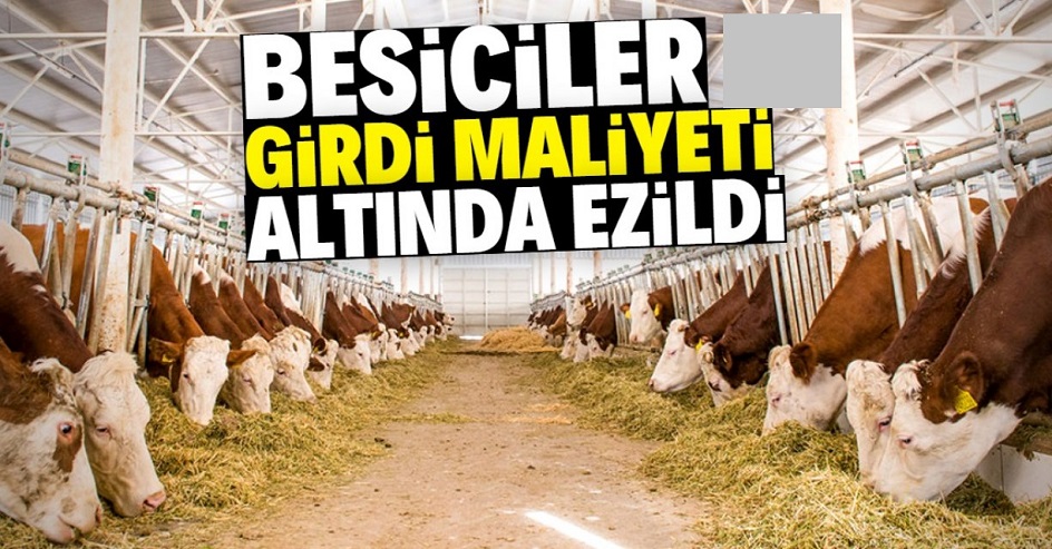 Besiciler girdi maliyetleri altında ezildi