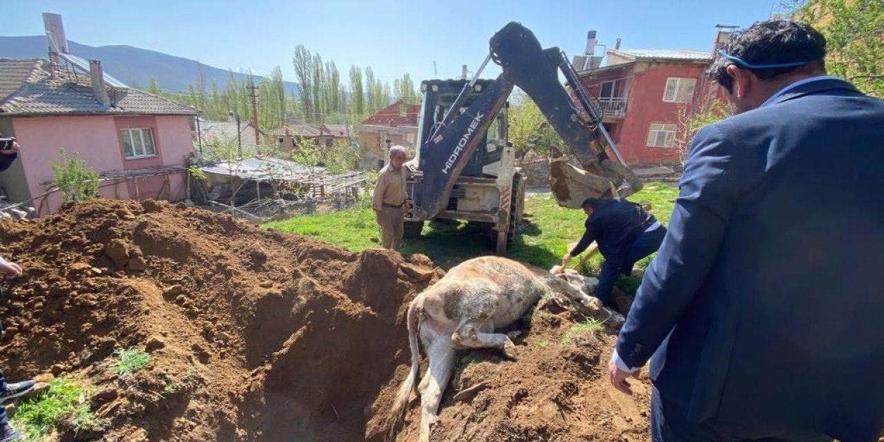 Konya’da kuyuya düşen inek açılan tünel sayesinde kurtarıldı