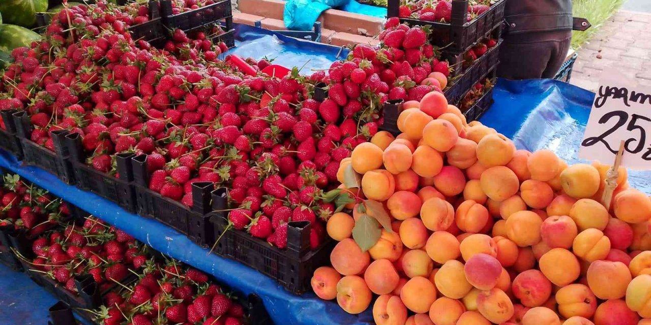 Halk pazarında sebze fiyatları düşüyor