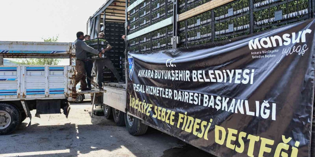 Ankara Büyükşehir’den çiftçilere sebze fidesi desteği