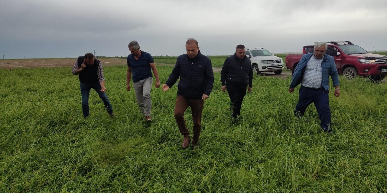 Aksaray'da dolu yağışı ekili alanlara zarar verdi