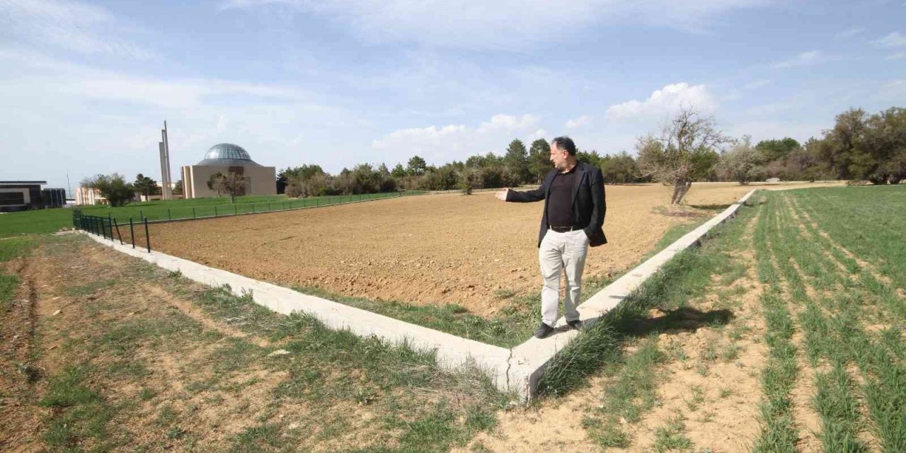 Tarlasından tel örgüleri çalınan tarla sahibi hırsızlara teessüf etti