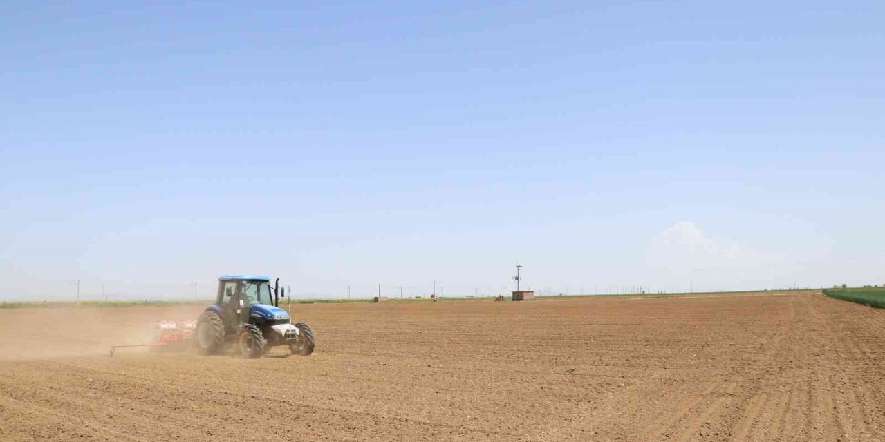 Niğde’de fasülye ve barbunya ekimi başladı