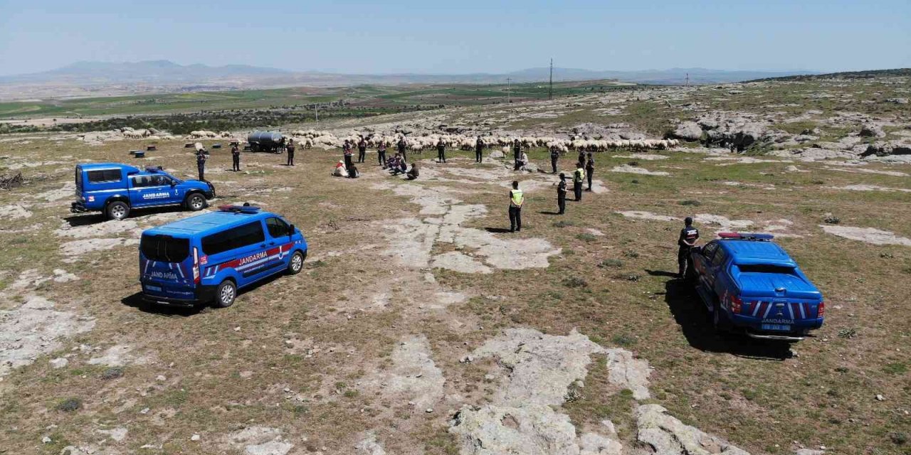 Jandarma dağlarda çoban eğitiminde