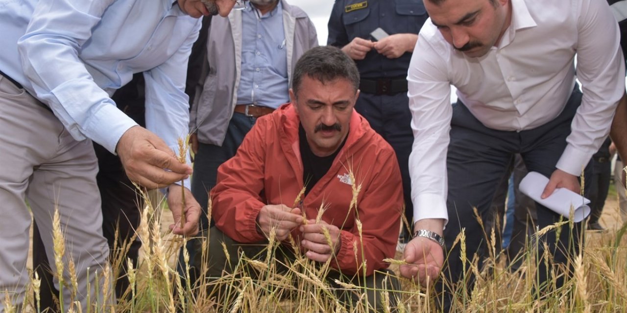 Validen doğal afetlere karşı çiftçilere uyarı: "TARSİM sigortasını yaptırın"