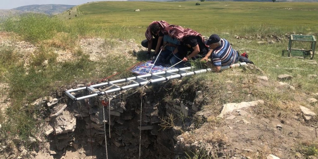 Definecilerin kazdığı kuyuya düşen kuzu iki gün süren uğraş sonunda kurtarıldı
