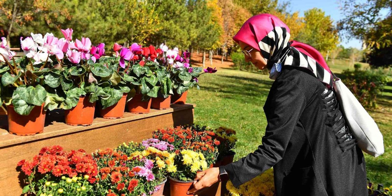 Başkentte “Çiçeğim Takası” uygulaması başlıyor