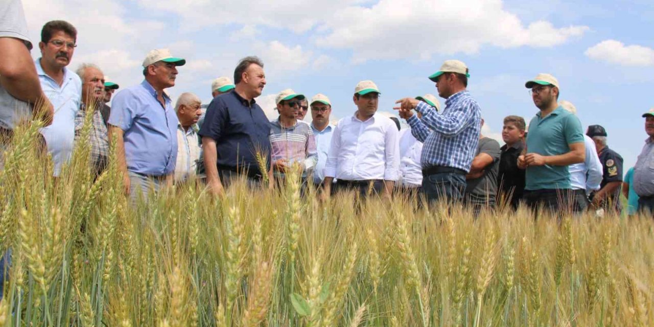 Hüyük’te deneme üretimi yapılan ’Taner’ tohumu tanıtıldı