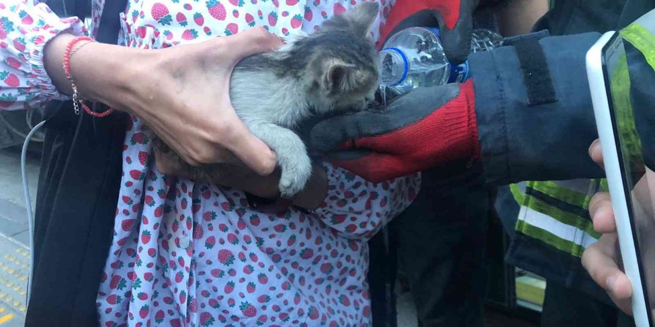 Duraktaki tramvayın altına kaçan kediyi itfaiye çıkarttı