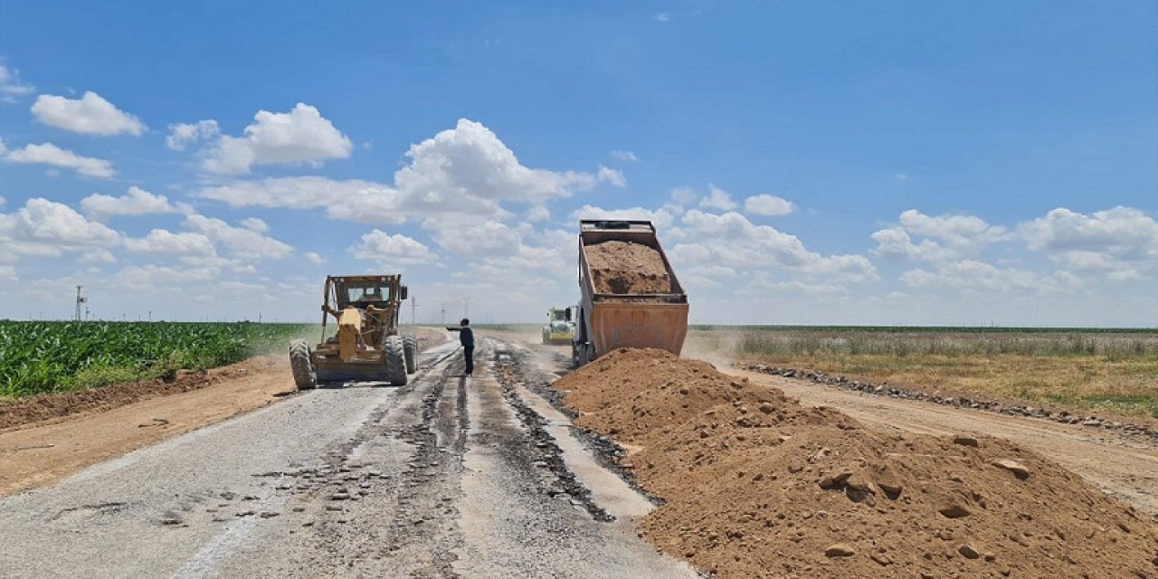 3 fidan meyvelerini erken verdi! Eskil'de yol yapım çalışmaları başladı