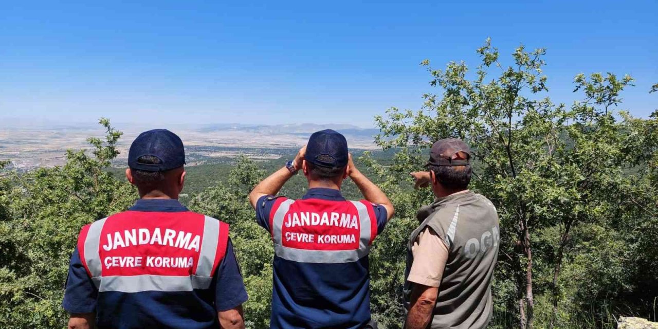 Jandarma yangınlara karşı ormanı dron ile denetliyor