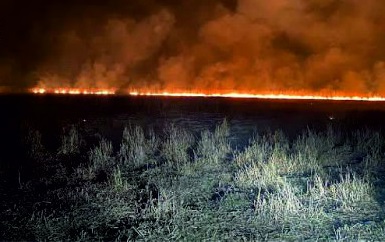 El deliye biz akıllıya hasretiz! Eskil'deki bu katliama! birileri "dur" desin