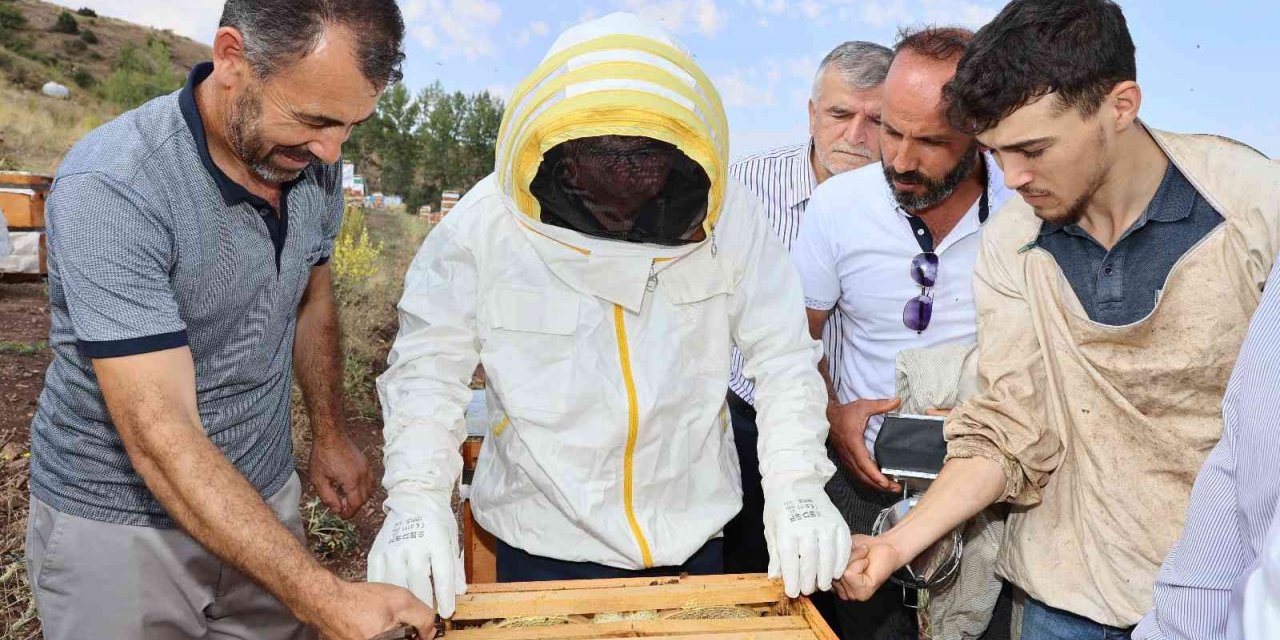 Sivas bal üretiminde zirvede