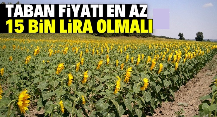 Çiftçi ayçiçeğin taban fiyatının en az 15 bin TL olmasını istiyor