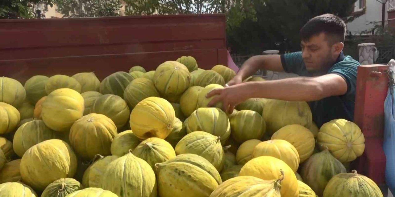 Çankırı’nın meşhur kavunu tezgahlarda yerini aldı