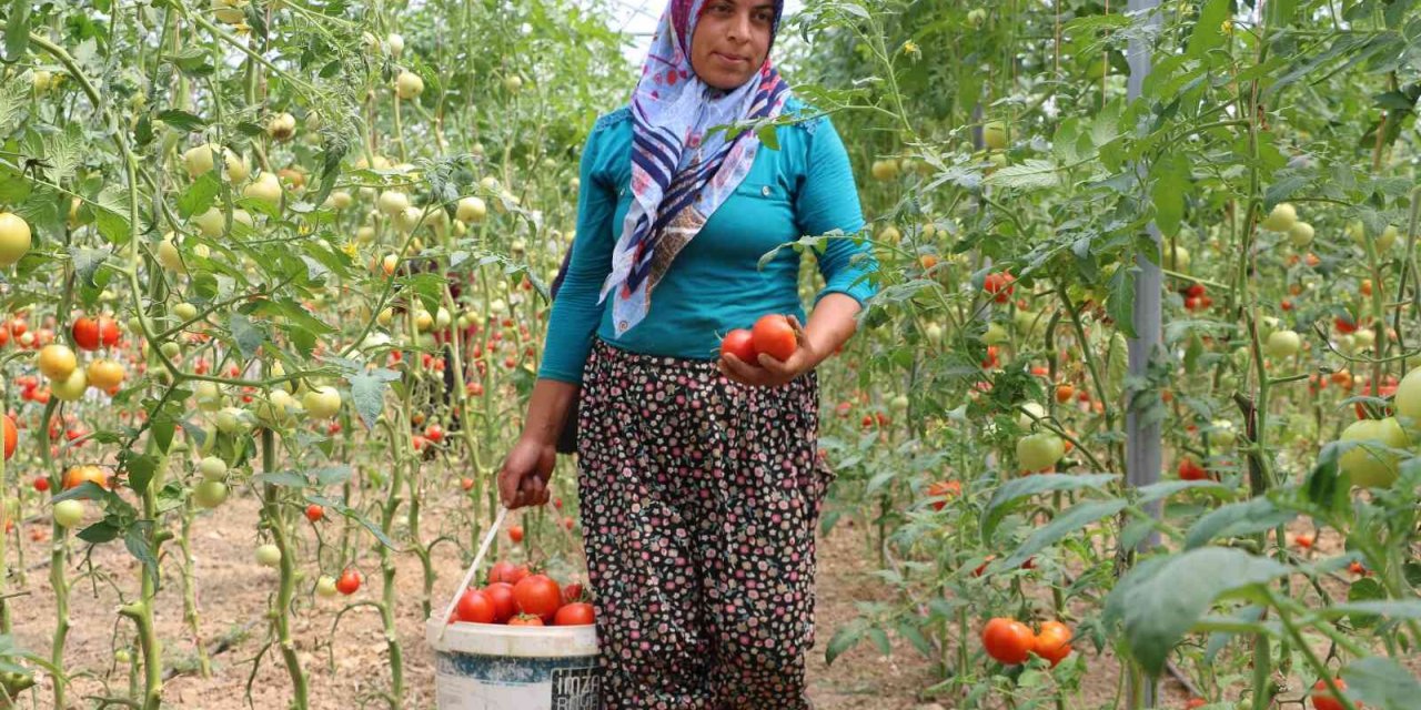 Kadın girişimci, devlet desteğiyle kurduğu serayla aile bütçesine katkı sağlıyor