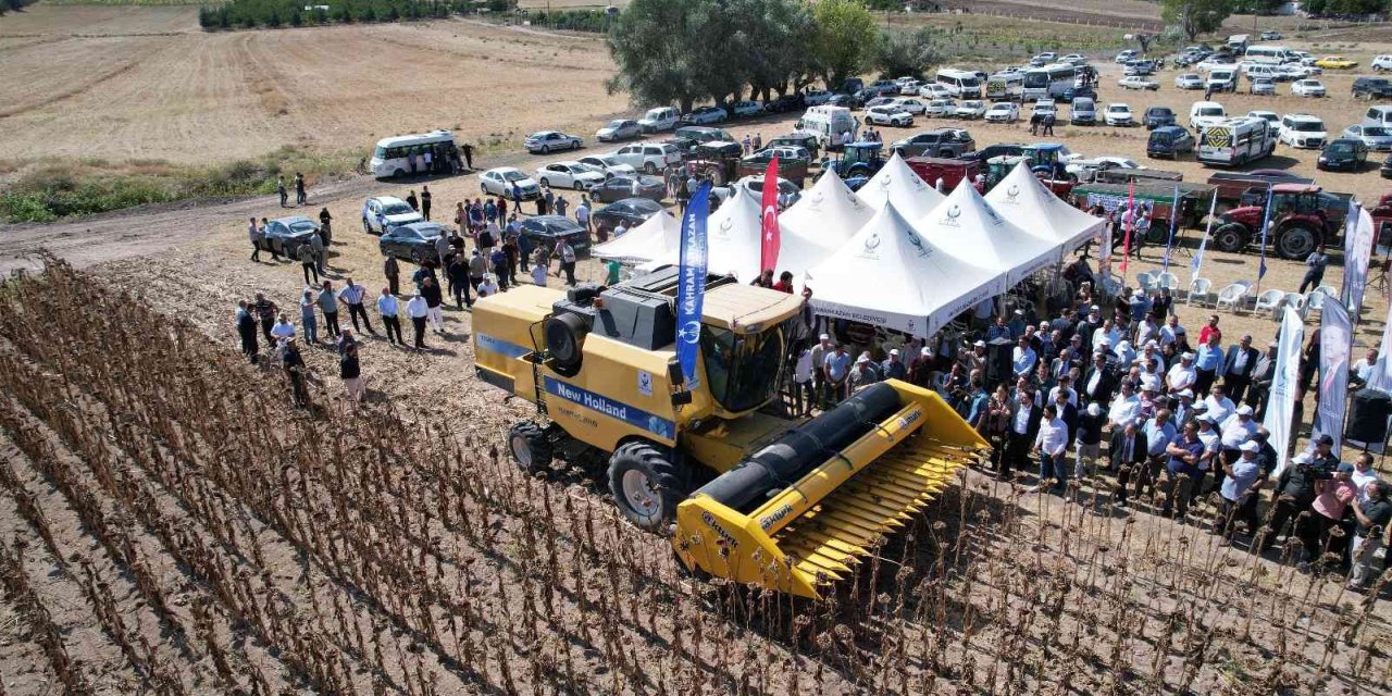 Kahramankazan Ovası’nı sarıya boyayan ayçiçeğinde hasat başladı