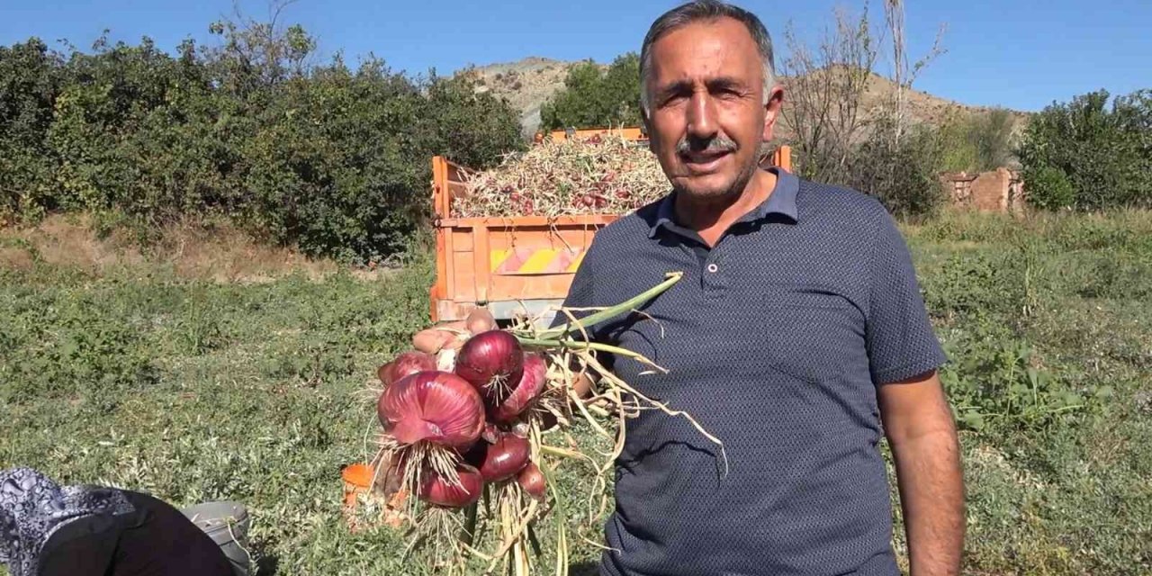 Bu köyde yaşayanların yüzde 90’ının gelir kaynağı ’soğan’