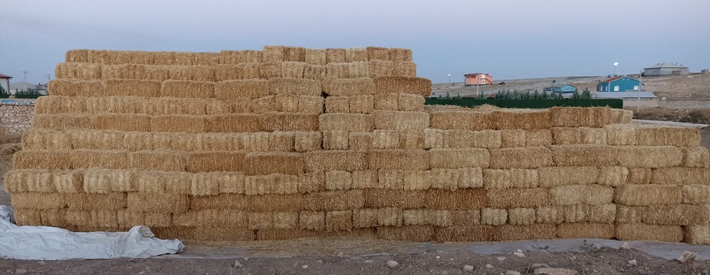 Eskil'de çalındı Konya Kaşınhanı'nda bulundu!