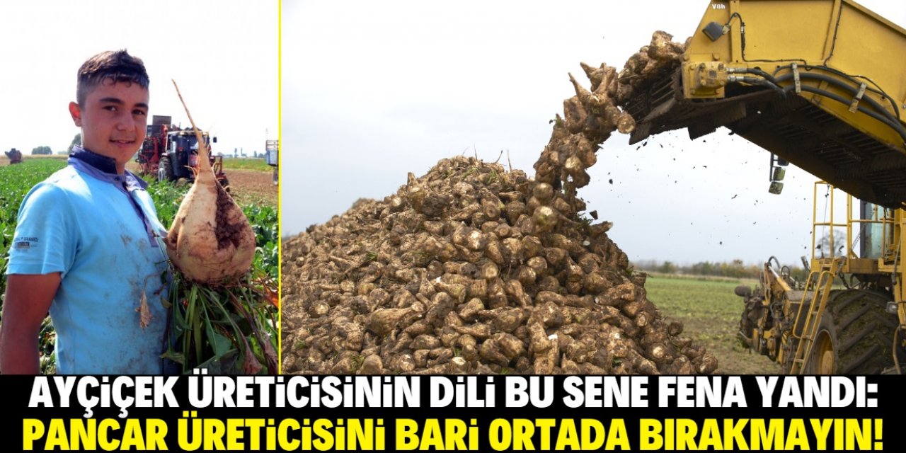 Pancar üreticisini bari ortada bırakmayın!