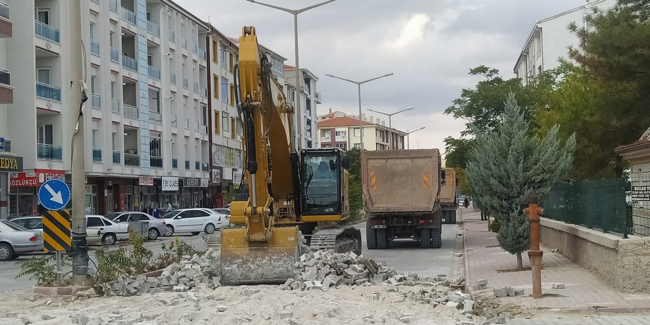 Eskil'de yol ortasındaki çalılar kaldırılmalı