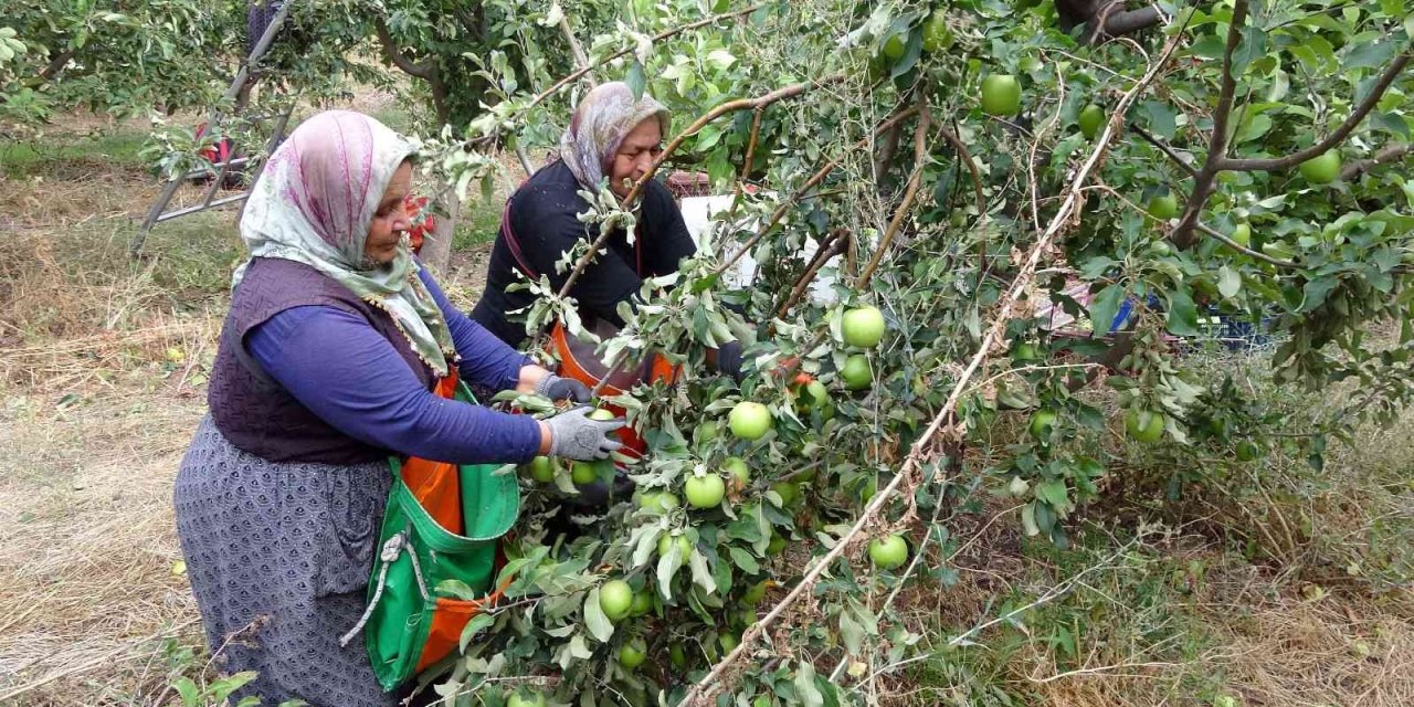 İşsizliği bitiren bu köy, il ve ilçelerden göç alıyor