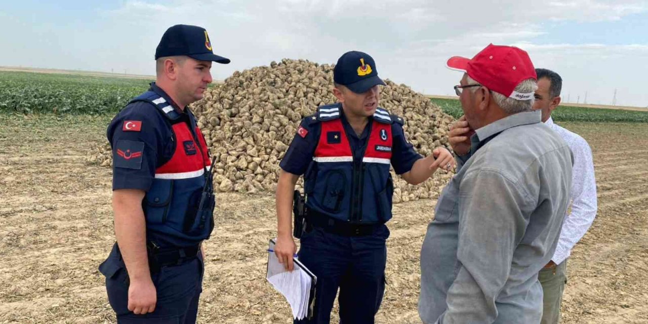 Eskil'de Jandarma hırsızlığa karşı tarım arazilerinde