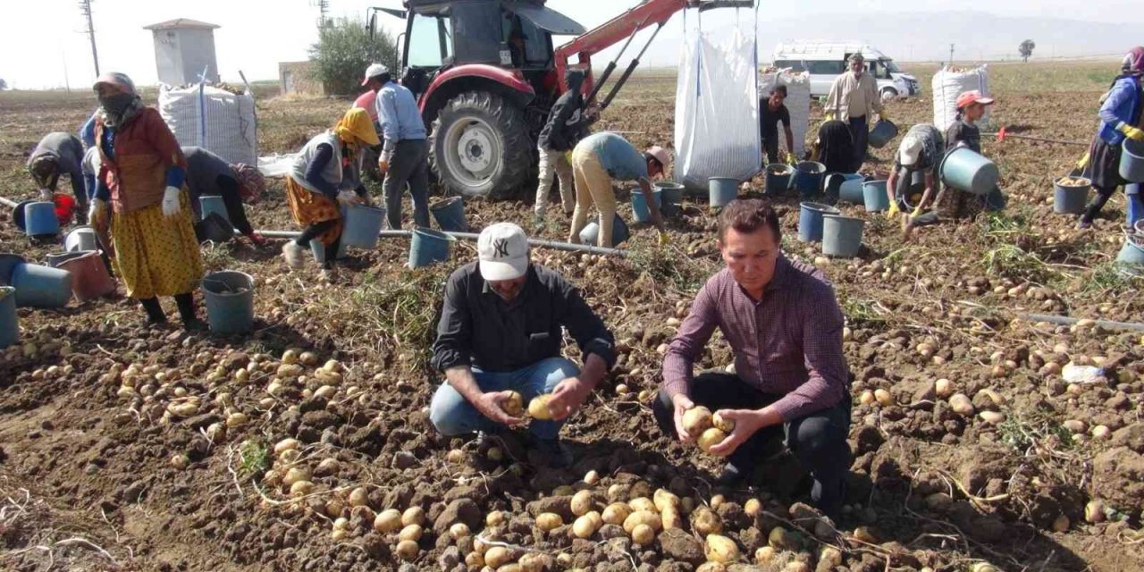 Niğde’de patates hasadı başladı