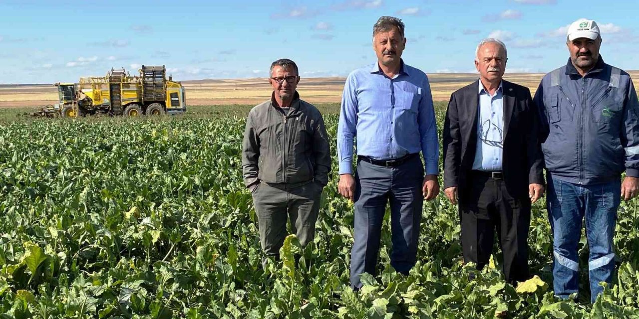 Kulu’da şeker pancarı hasadı başladı