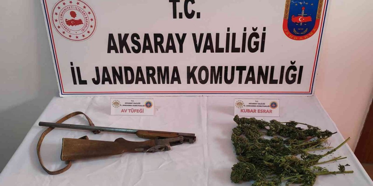 Jandarma odunlukta esrar ve tüfek ele geçirdi