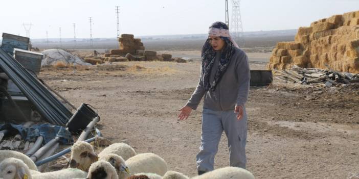 Eskil’de Genç Kadın Çiftçi Babasının Tarım İşlerine Destek Oluyor