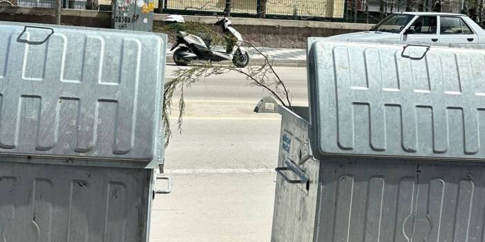 Eskil’de Tepki Çeken Görüntü: Dağıtılan Fidanlar Çöp Kovasında!