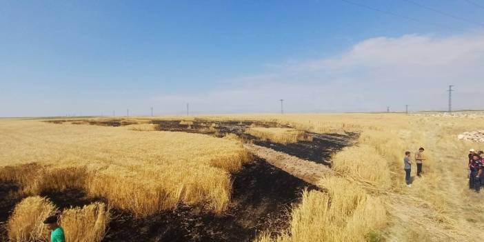 Eskil'de Ekili Alanda Kuş Çarpması Sonucu Yangın Çıktı