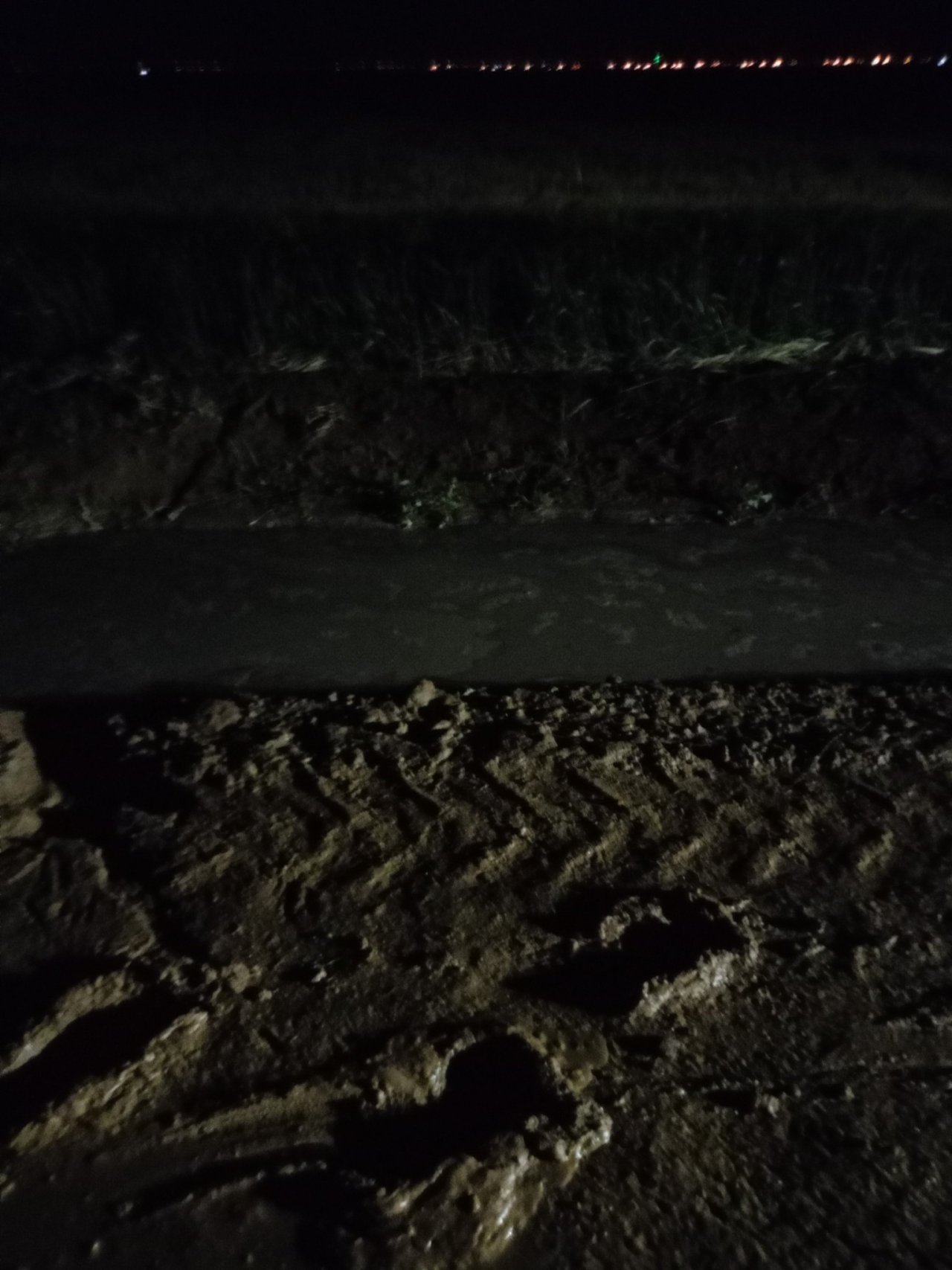 1280638.jpg