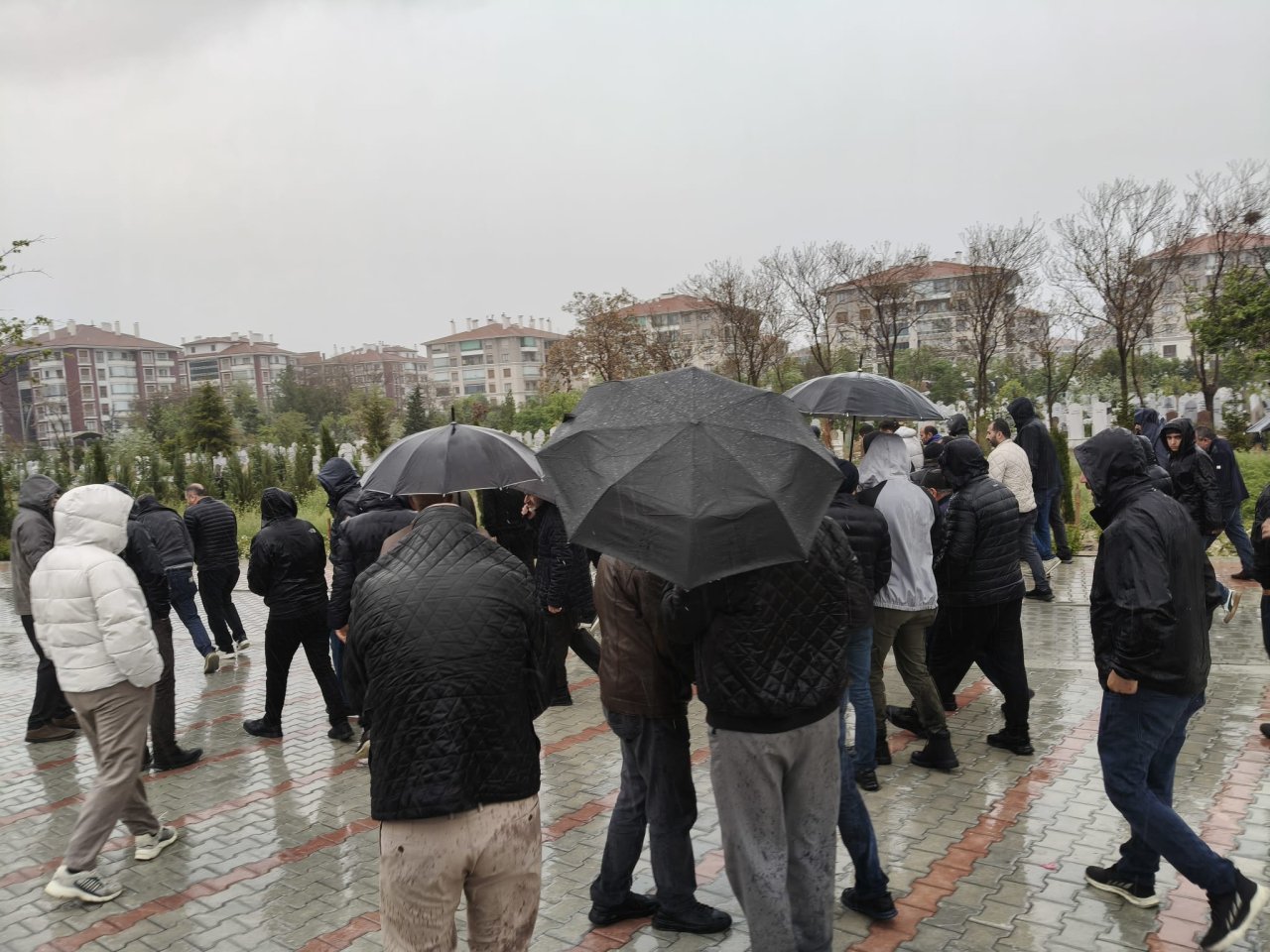 1302057.jpg