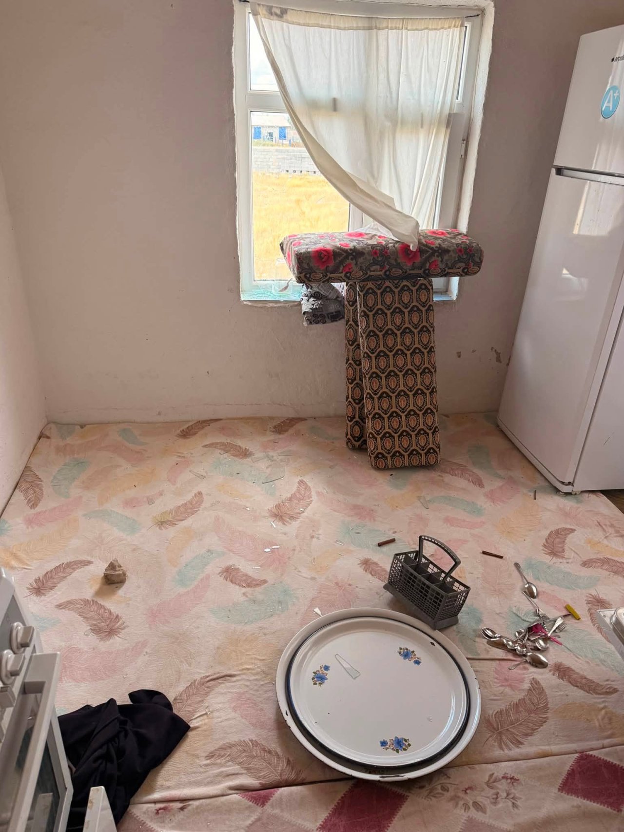 782144982-2068437620438349-6326812082409653733-n.jpg